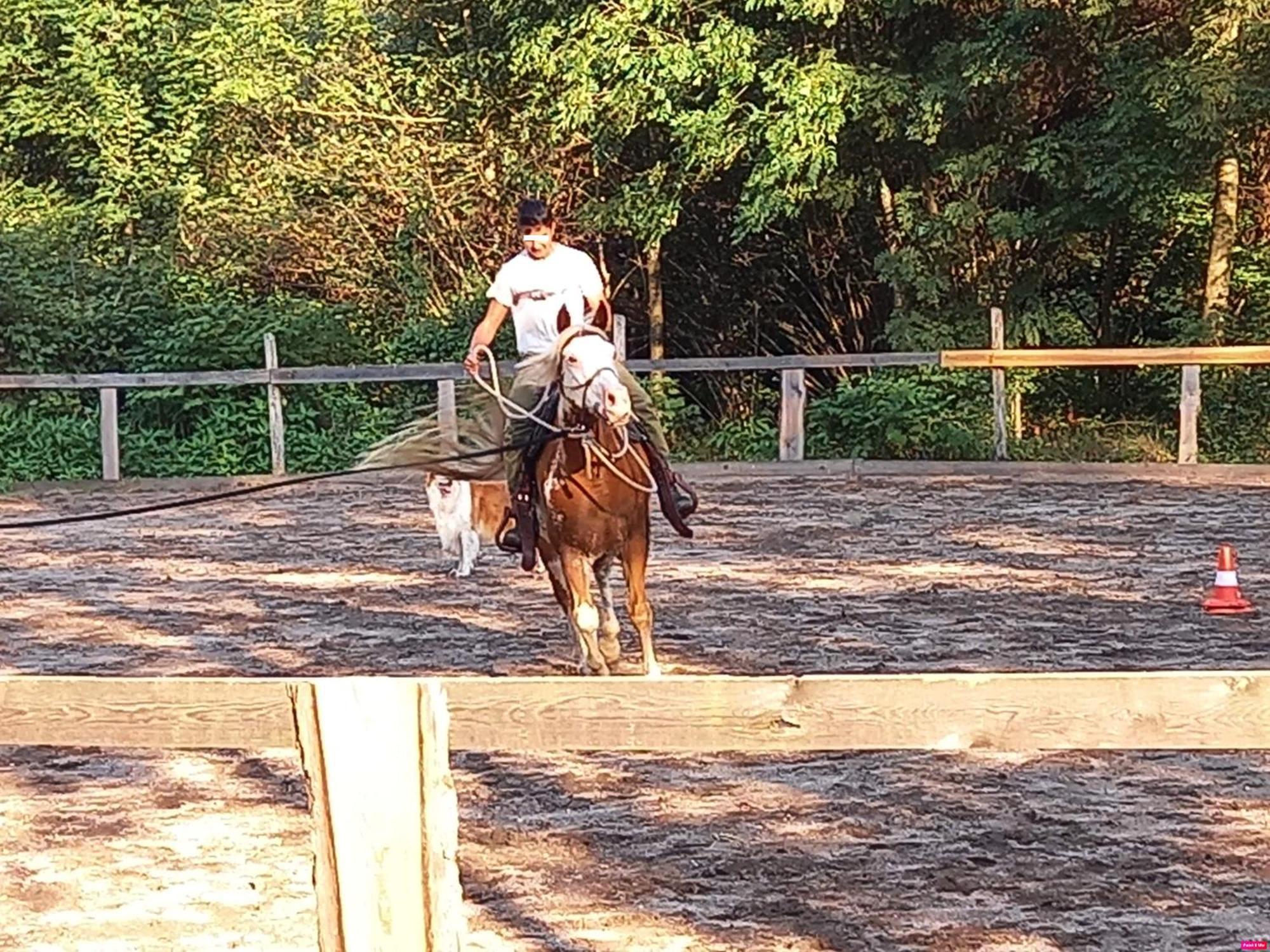 קראנו Appartamento Tiziana Val Di Fiemme מראה חיצוני תמונה