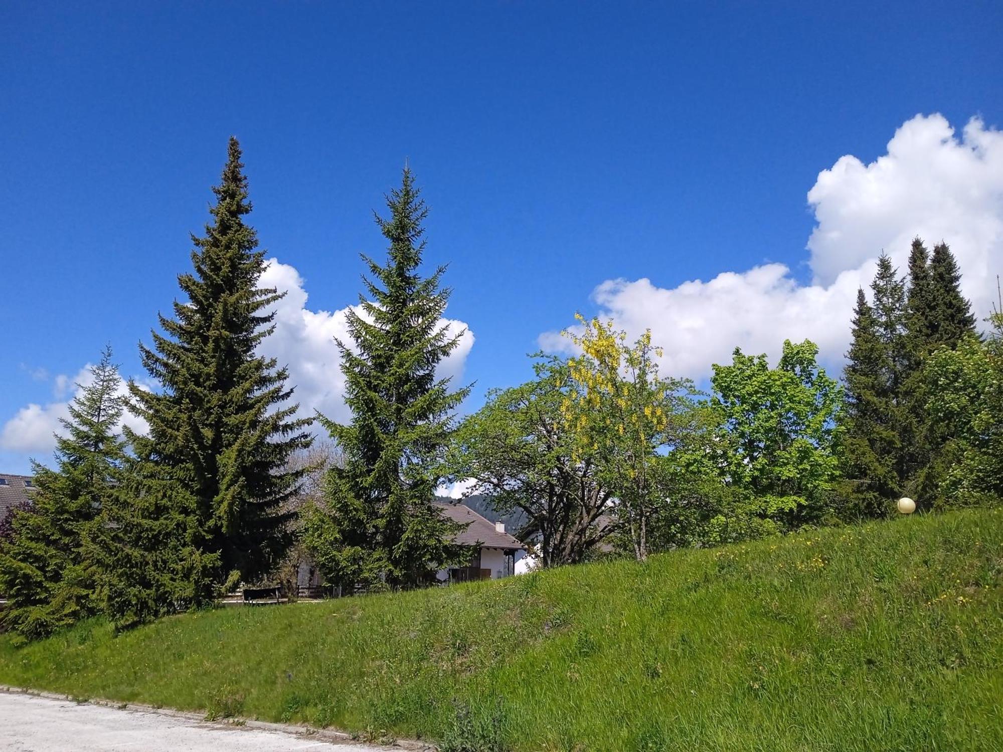 קראנו Appartamento Tiziana Val Di Fiemme מראה חיצוני תמונה