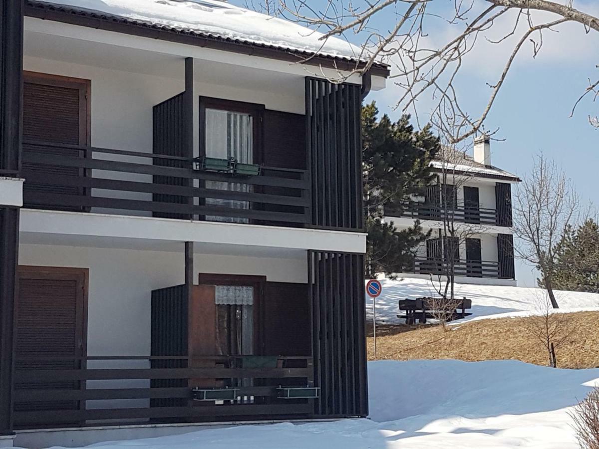 קראנו Appartamento Tiziana Val Di Fiemme מראה חיצוני תמונה