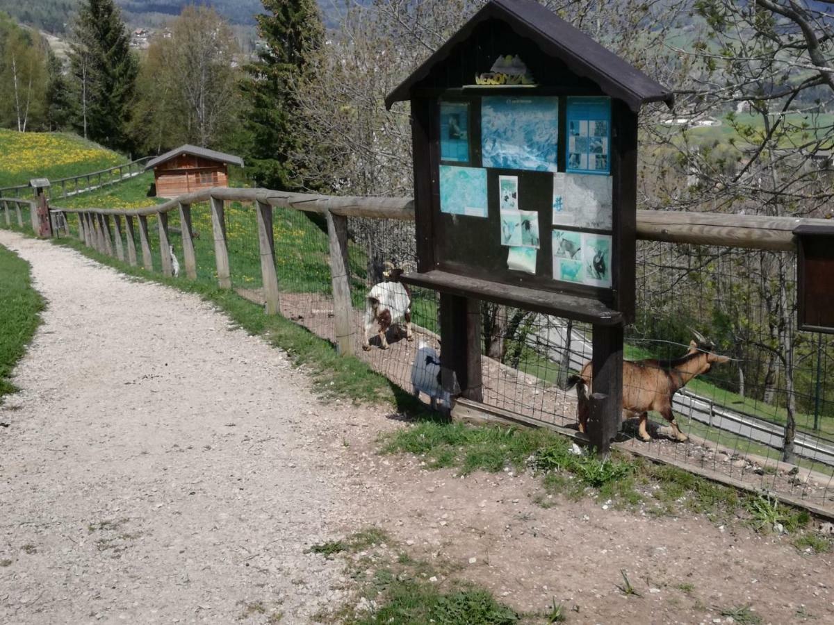 קראנו Appartamento Tiziana Val Di Fiemme מראה חיצוני תמונה
